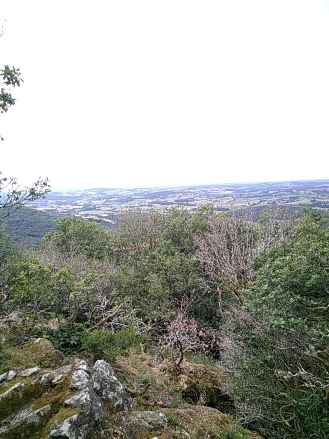 Camping La Foret Du Morvan Larochemillay Exteriér fotografie