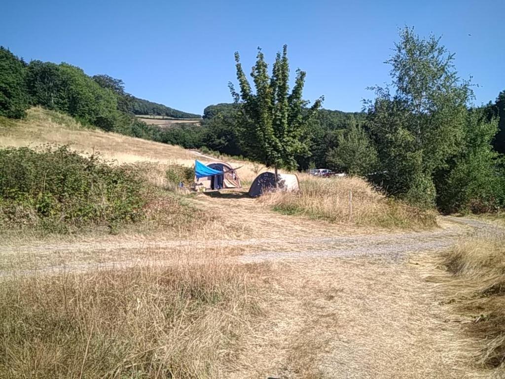 Camping La Foret Du Morvan Larochemillay Exteriér fotografie